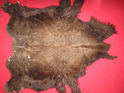 Picture of this lot Tanned Buffalo Robes, American Bison