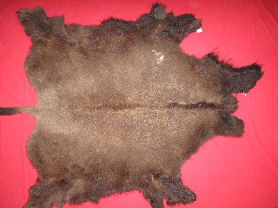 Picture of this lot Tanned Buffalo Robes, American Bison