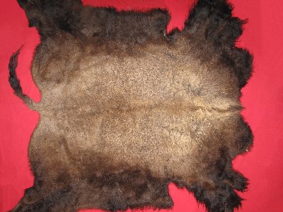 Picture of this lot Tanned Buffalo Robes, American Bison
