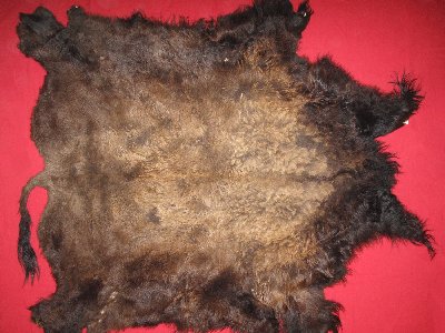 Picture of this lot Tanned Buffalo Robes, American Bison
