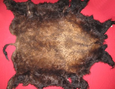 Picture of this lot Tanned Buffalo Robes, American Bison