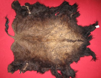 Picture of this lot Tanned Buffalo Robes, American Bison
