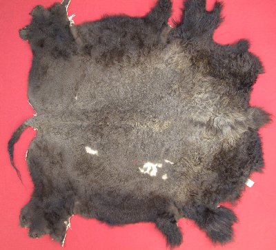 Picture of this lot Tanned Buffalo Robes, American Bison