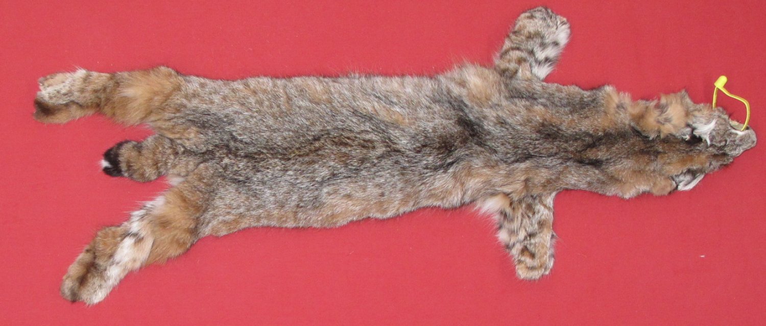 Tanned Furs Bobcat 6205 1275