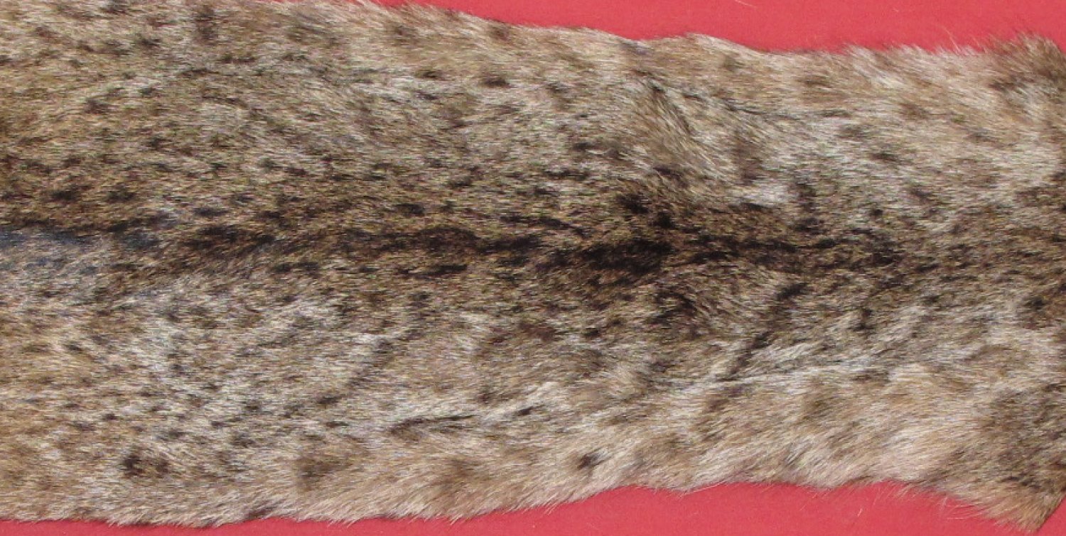 Tanned Furs Bobcat 6205 1280