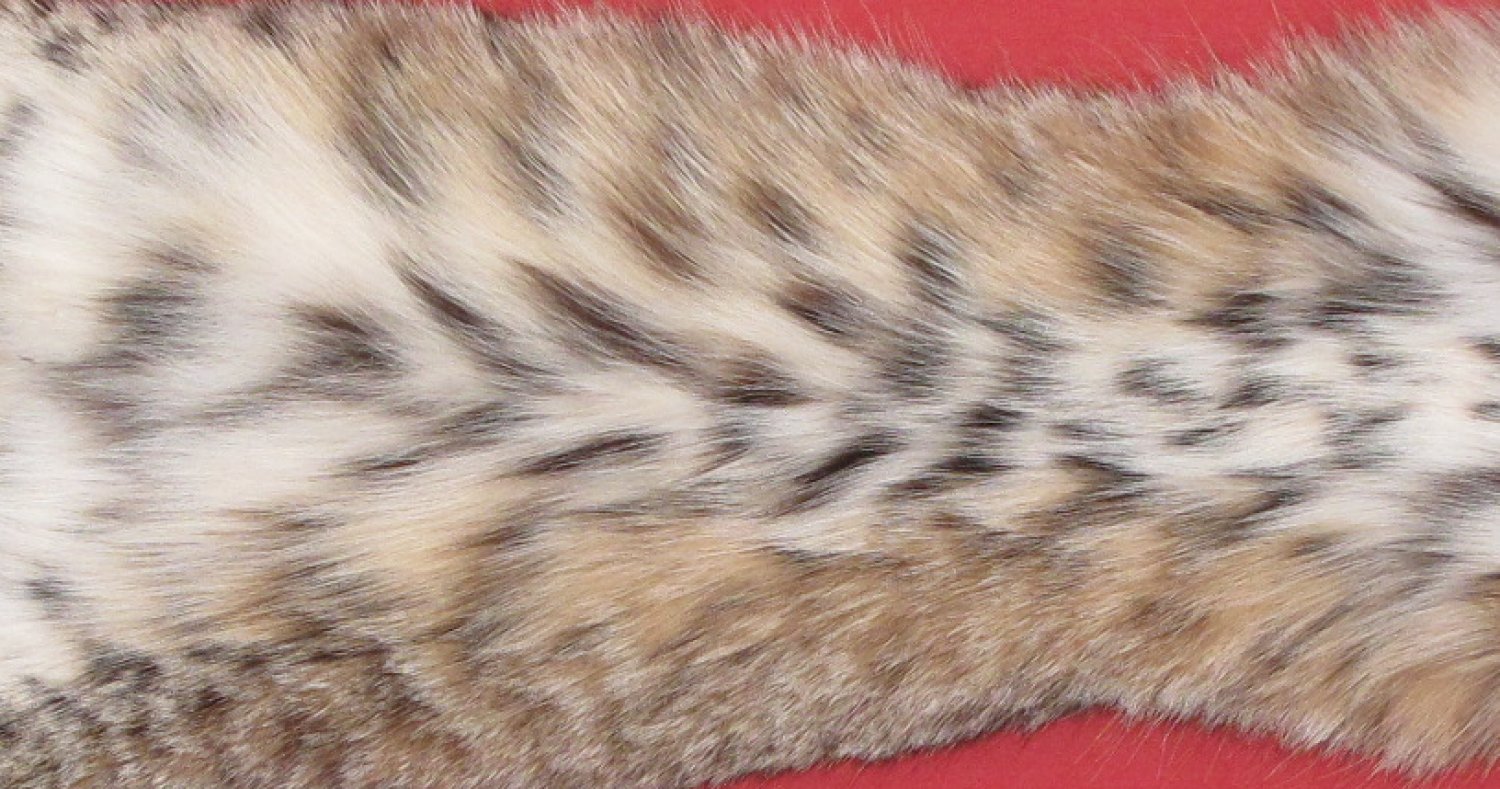 Tanned Furs Bobcat 6205 1288