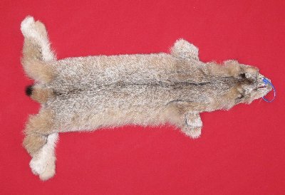 Picture of this lot Tanned Canadian Lynx Hides, Furs, Pelts, Skins