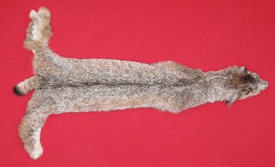 Picture of this lot Tanned Canadian Lynx Hides, Furs, Pelts, Skins