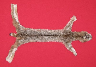 Picture of this lot Tanned Canadian Lynx Hides, Furs, Pelts, Skins