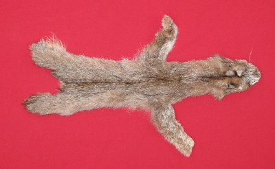 Picture of this lot Tanned Canadian Lynx Hides, Furs, Pelts, Skins