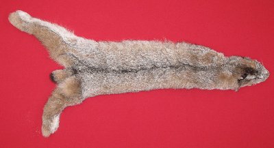 Picture of this lot Tanned Canadian Lynx Hides, Furs, Pelts, Skins