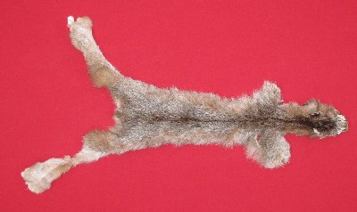 Picture of this lot Tanned Canadian Lynx Hides, Furs, Pelts, Skins