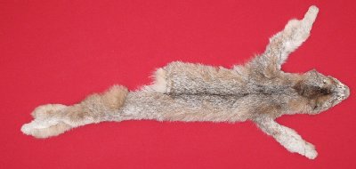 Picture of this lot Tanned Canadian Lynx Hides, Furs, Pelts, Skins