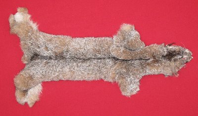 Picture of this lot Tanned Canadian Lynx Hides, Furs, Pelts, Skins