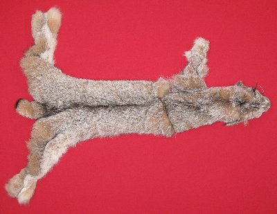 Picture of this lot Tanned Canadian Lynx Hides, Furs, Pelts, Skins