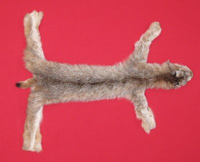 Picture of this lot Tanned Canadian Lynx Hides, Furs, Pelts, Skins