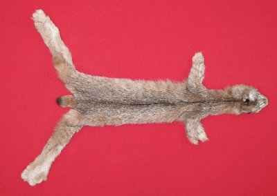 Picture of this lot Tanned Canadian Lynx Hides, Furs, Pelts, Skins