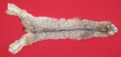 Picture of this lot Tanned Canadian Lynx Hides, Furs, Pelts, Skins