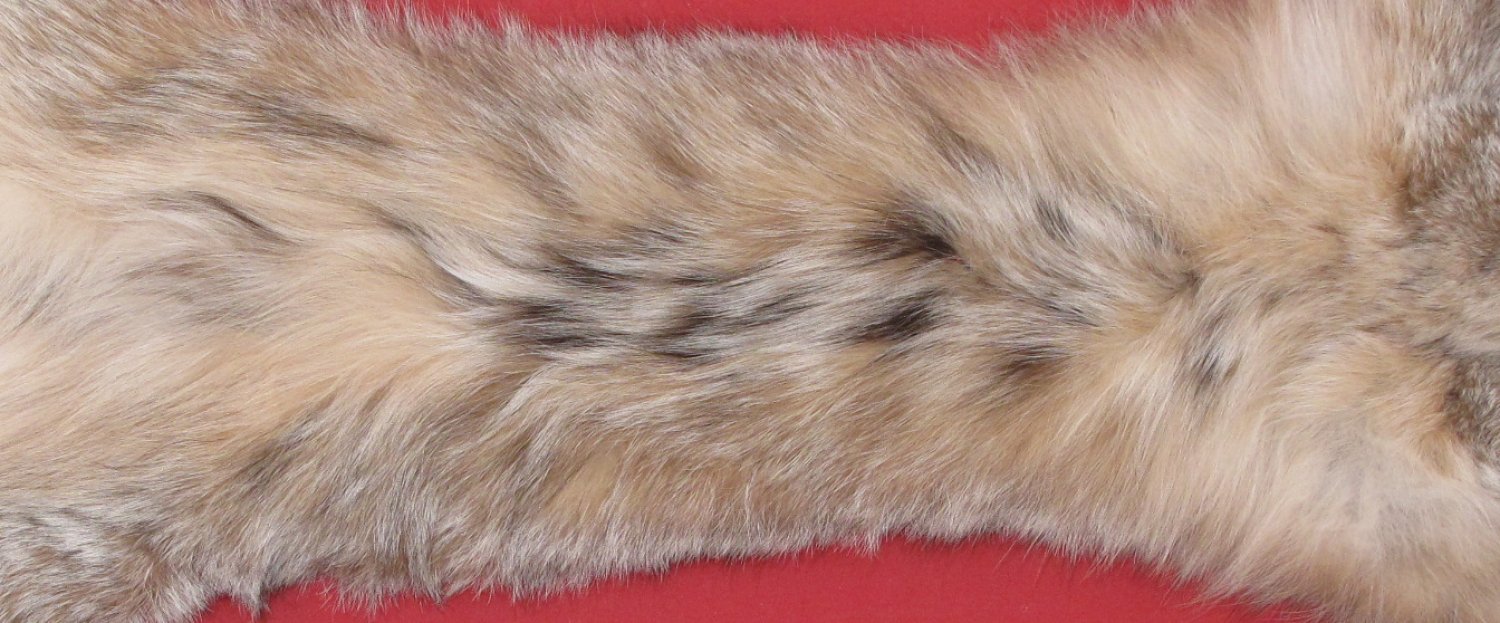 Tanned Furs CANADIAN LYNX TAXIDERMY QUALITY (62120089)