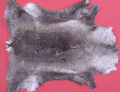 Picture of this lot Tanned Caribou Reindeer Hides, Scandinavian