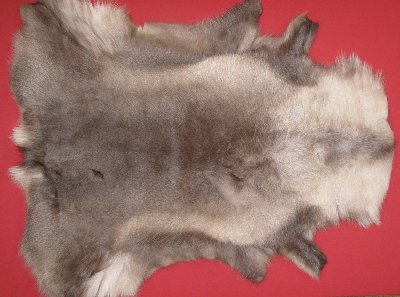 Picture of this lot Tanned Caribou Reindeer Hides, Scandinavian