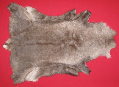 Picture of this lot Tanned Caribou Reindeer Hides, Scandinavian