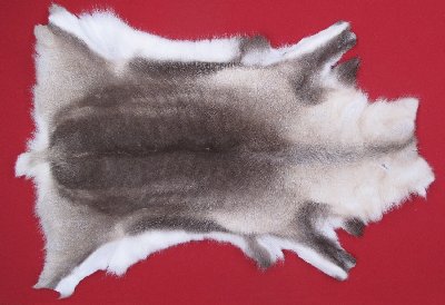 Picture of this lot Tanned Caribou Reindeer Hides, Scandinavian