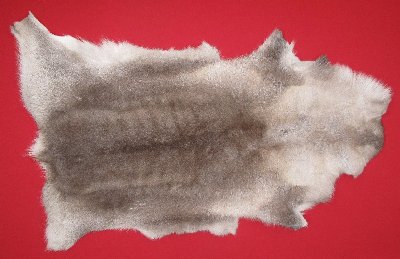 Picture of this lot Tanned Caribou Reindeer Hides, Scandinavian