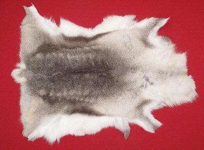 Picture of this lot Tanned Caribou Reindeer Hides, Scandinavian