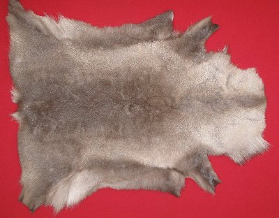 Picture of this lot Tanned Caribou Reindeer Hides, Scandinavian