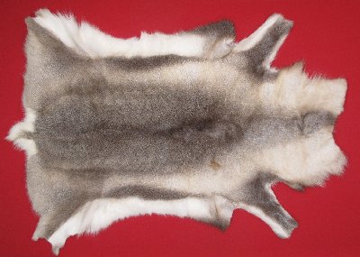 Picture of this lot Tanned Caribou Reindeer Hides, Scandinavian