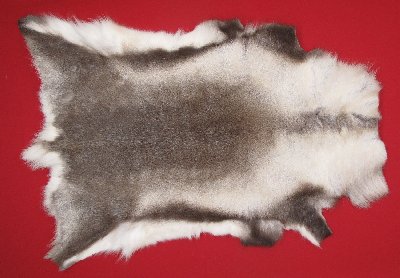 Picture of this lot Tanned Caribou Reindeer Hides, Scandinavian