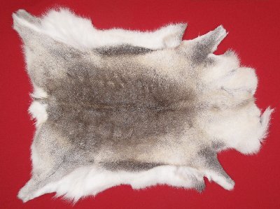 Picture of this lot Tanned Caribou Reindeer Hides, Scandinavian
