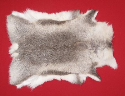 Picture of this lot Tanned Caribou Reindeer Hides, Scandinavian
