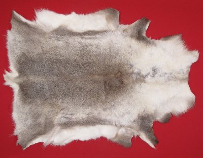 Picture of this lot Tanned Caribou Reindeer Hides, Scandinavian
