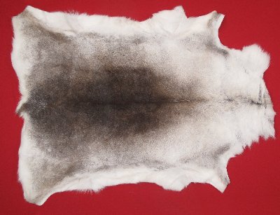 Picture of this lot Tanned Caribou Reindeer Hides, Scandinavian