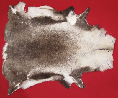 Picture of this lot Tanned Caribou Reindeer Hides, Scandinavian