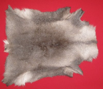 Picture of this lot Tanned Caribou Reindeer Hides, Scandinavian