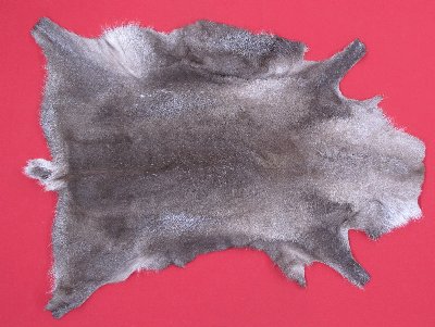 Picture of this lot Tanned Caribou Reindeer Hides, Scandinavian