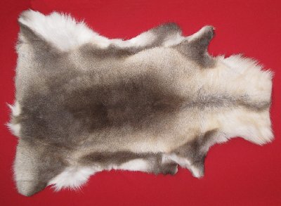 Picture of this lot Tanned Caribou Reindeer Hides, Scandinavian