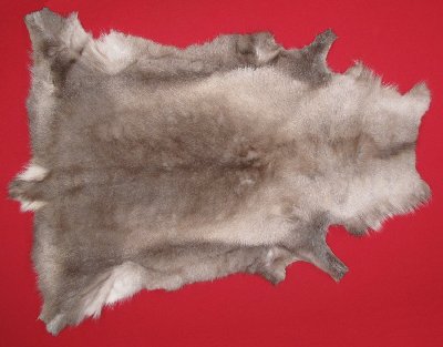 Picture of this lot Tanned Caribou Reindeer Hides, Scandinavian