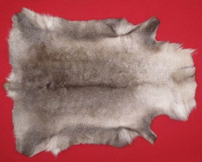 Picture of this lot Tanned Caribou Reindeer Hides, Scandinavian