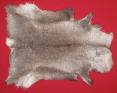 Picture of this lot Tanned Caribou Reindeer Hides, Scandinavian
