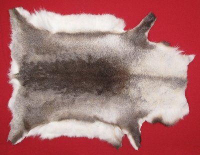 Picture of this lot Tanned Caribou Reindeer Hides, Scandinavian