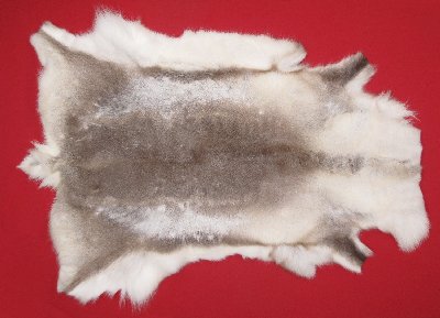 Picture of this lot Tanned Caribou Reindeer Hides, Scandinavian