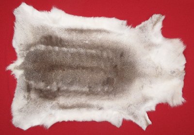 Picture of this lot Tanned Caribou Reindeer Hides, Scandinavian