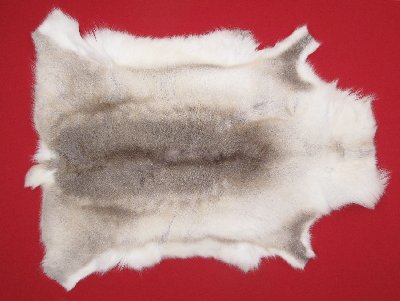 Picture of this lot Tanned Caribou Reindeer Hides, Scandinavian