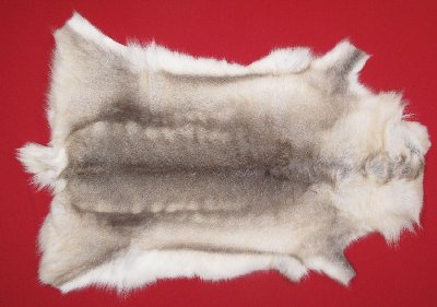 Picture of this lot Tanned Caribou Reindeer Hides, Scandinavian