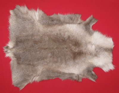 Picture of this lot Tanned Caribou Reindeer Hides, Scandinavian