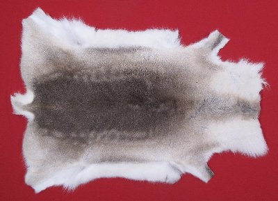 Picture of this lot Tanned Caribou Reindeer Hides, Scandinavian